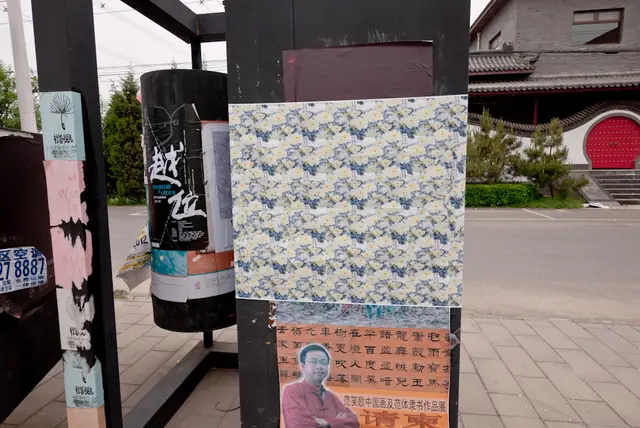 Untitled (hidden image: 518 - Cop beating protester), Cross Eyed - Beijing