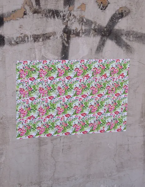Untitled (hidden image: Egyptian Uprising, Street Fight), Cross Eyed - Beijing