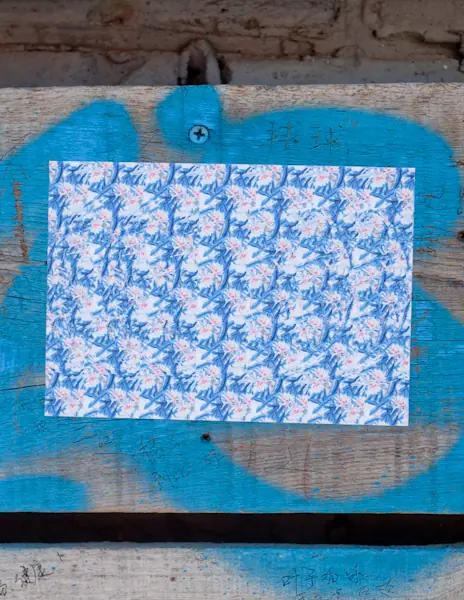 Untitled (hidden image: Wikipedia), Cross Eyed - Beijing