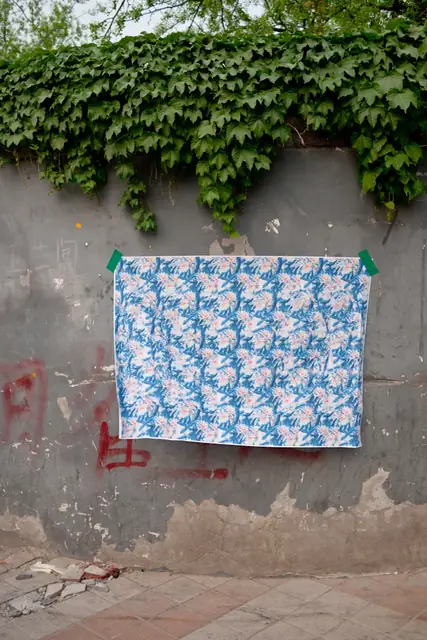 Untitled (hidden image: Wikipedia), Cross Eyed - Beijing