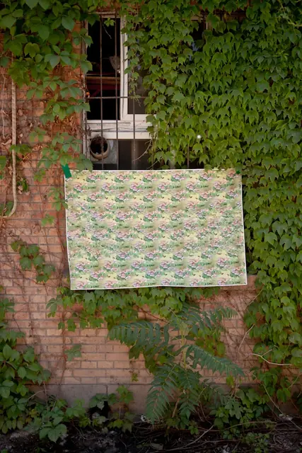 Untitled (hidden image: Jasmine), Cross Eyed - Beijing