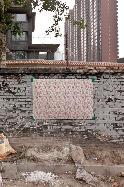 Untitled (hidden image: Salt), Cross Eyed - Beijing