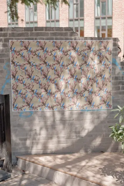 Untitled (hidden image: Twitter), Cross Eyed - Beijing