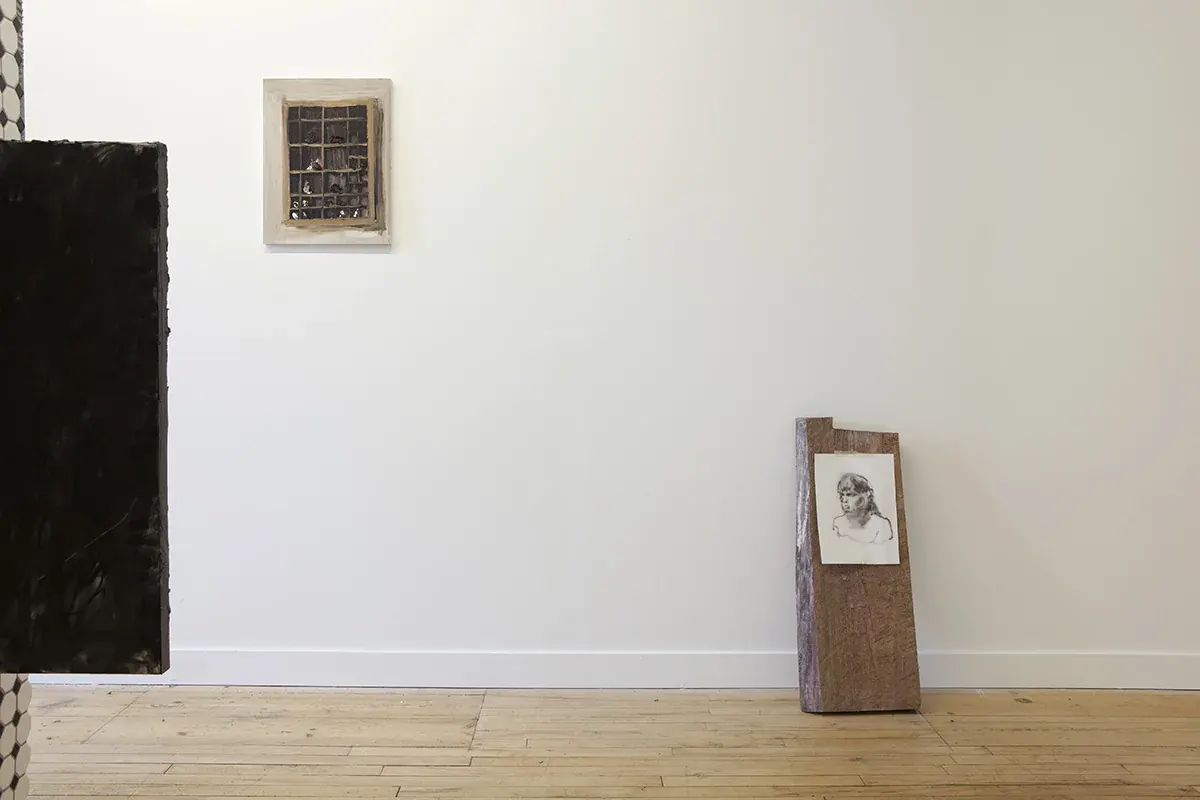 Gut Feeling (installation view), Gut Feeling